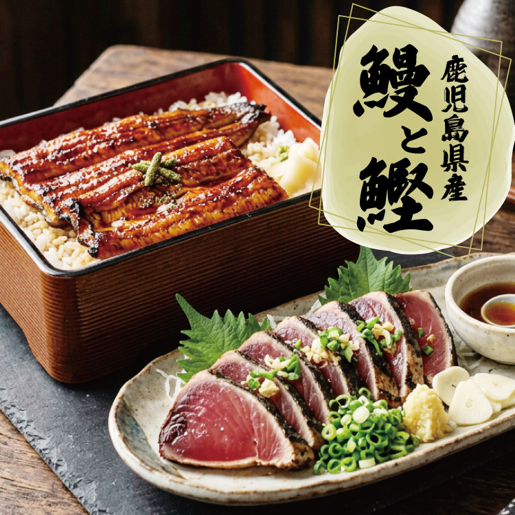 鹿児島県産大うなぎと鰹タタキセット　※